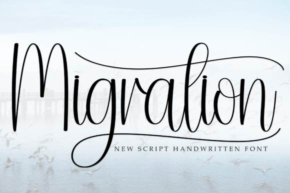 A Friendly Script Font for Editorial Soul