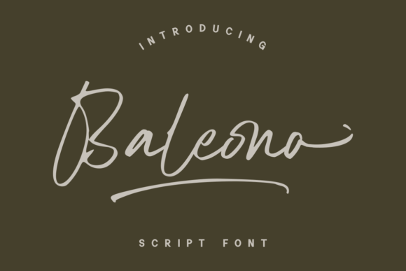 Baleono: The Elegant Font for a Cohesive Business Brand