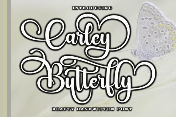 Carley Butterfly: The Font That Makes Your Campaign Message Sing